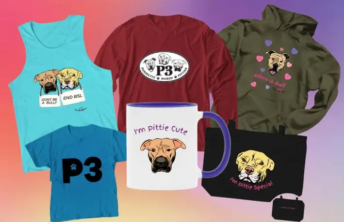 P3 Rescue merch from the Bonfire store