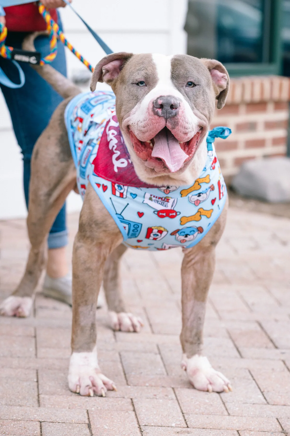 Fats, adopted through P3 Rescue